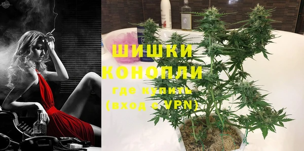 ПСИЛОЦИБИНОВЫЕ ГРИБЫ Абаза