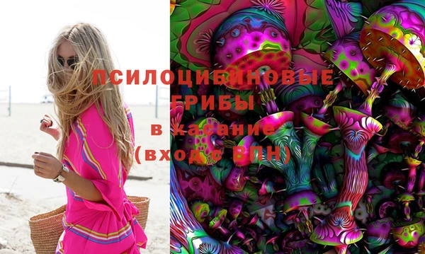 ПСИЛОЦИБИНОВЫЕ ГРИБЫ Абаза