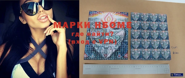 ПСИЛОЦИБИНОВЫЕ ГРИБЫ Абаза