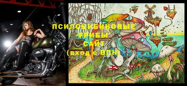 стафф Алексеевка