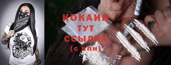 ПСИЛОЦИБИНОВЫЕ ГРИБЫ Абаза