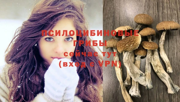 ПСИЛОЦИБИНОВЫЕ ГРИБЫ Абаза