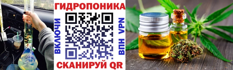 Канабис сатива  Осташков 